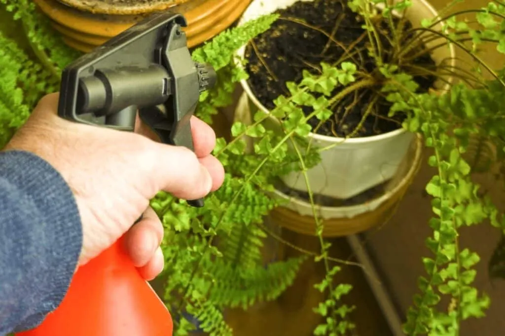 Zwarte zeep: een natuurlijke maatgenoot voor de tuinier